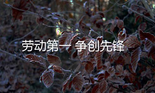 劳动创先第一 争锋