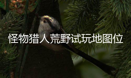 位置玩地猎人略一览怪物图所地图地位荒野在哪置攻有营试玩 试